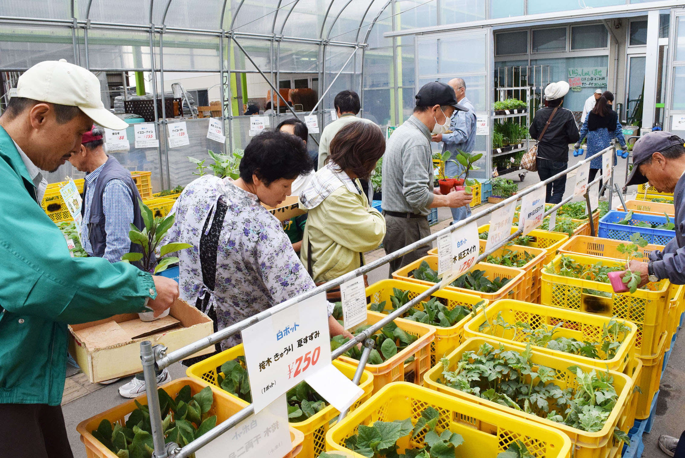 ＪＡファームみどりの店